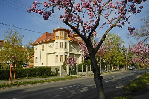 Пансион Villa Sakura - Villa Sakura Pension. Шопрон. Венгрия 