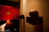 ����� ���� ������ 4* - Hotel Mala Garden 4* , ������.  �������. ����� � ������������.