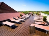 ��������� ������ - Piknik Hotel, ������.  �������. ����� � ������������.