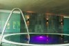 ��������� Bonvino Wine & Spa 4*.Badacsony. �������. ����� � ������������.