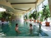 ��������� ��������� 4*.  Residence Si&oacute;fok Conference & Wellness Hotel 4*. ������,���������� �����. �������. ����� � ������������.