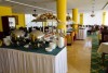 ����� Bellevue 4*.Hotel Bellevue 4*. ��������.  Esztergom.  �������. ����� � ������������.
