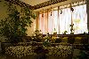 Wellness Beauty Hotel Caramell ****. ���������� ������ ��������. �������. ����� � ������������.