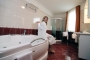 ������������ - Balatonfured. ������ ��������� �������� - Flamingo Wellness Hotel 4*