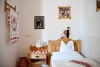 ����� �������� 3* - Hotel Bagolyvar Hotel 3*. ��� - Pecs.