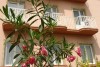 3* ����� ������ ����� - 3* Hotel Pannon H&eacute;v&iacute;z. ���������� ����� �����. ������� � �������� �����.