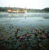 3* ����� ������ ����� - 3* Hotel Pannon H&eacute;v&iacute;z. ���������� ����� �����. ������� � �������� �����.