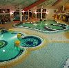 ��������� ���� ��� ������ 4* - Hotel Park Inn Sarvar 4*  ���������� ������ ������. �������. ������������ � ����� � ���������� ���������.